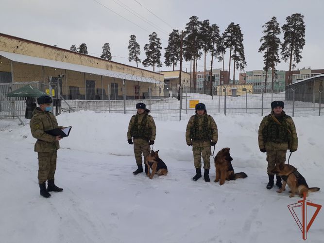 Курсанты кинологического факультета Пермского военного института проходят учебную (войсковую) практику