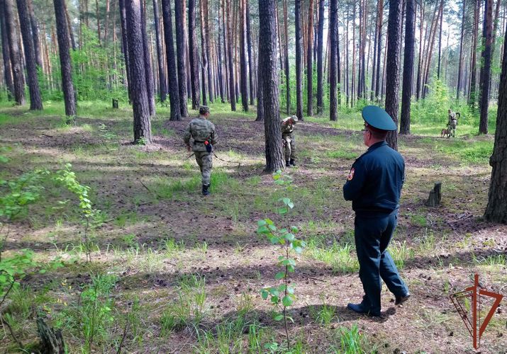 Офицер кинологического отдела Росгвардии проверил учебное занятие по дрессировке служебных собак