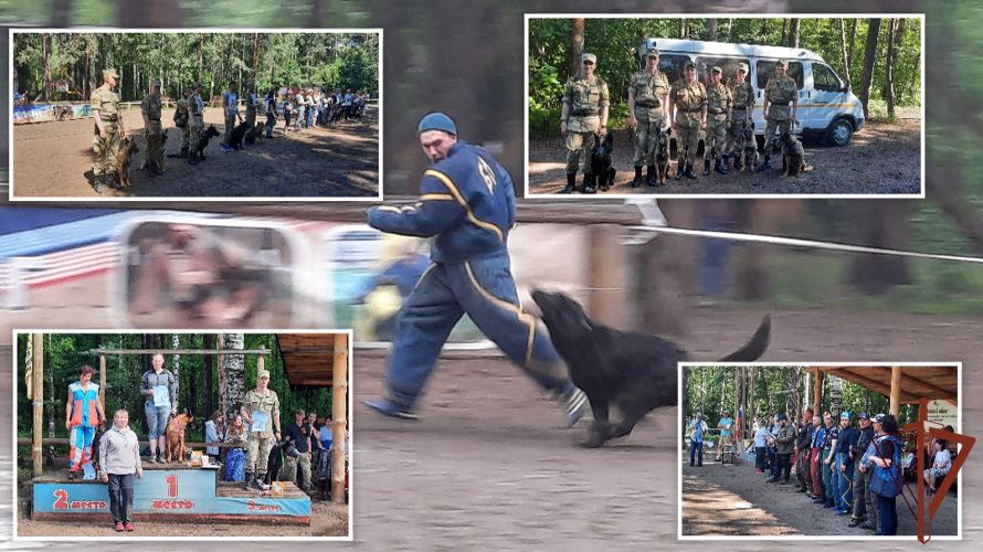 Военнослужащие факультета (кинологического) Пермского военного института приняли участие в квалификационных соревнованиях по усложненным нормативам защитной службы «Большой Русский Ринг» на Кубок России