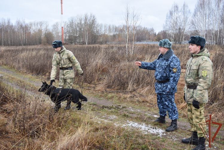 В Пермском военном институте прошли учебно-методические сборы со специалистами-кинологами учебного комплекса факультета (кинологического) с закрепленными патрульно-розыскными собаками