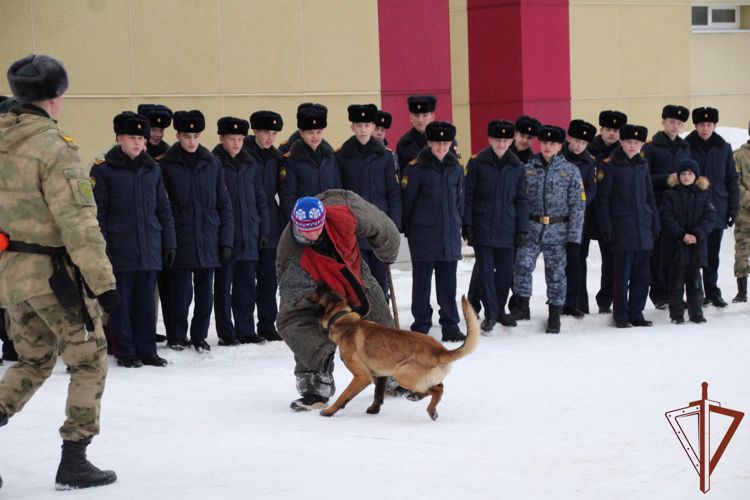 В Пермском военном институте продолжаются мероприятия, посвященные Дню Российской науки