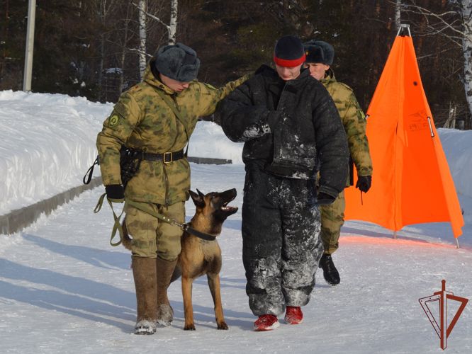В Пермском военном институте проведен круглый стол по вопросам использования защитного снаряжения в дрессировке служебных собак