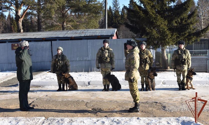 В Пермском военном институте состоялись учебно-методические сборы со специалистами-кинологами учебного комплекса факультета (кинологического) с закрепленными патрульно-розыскными собаками