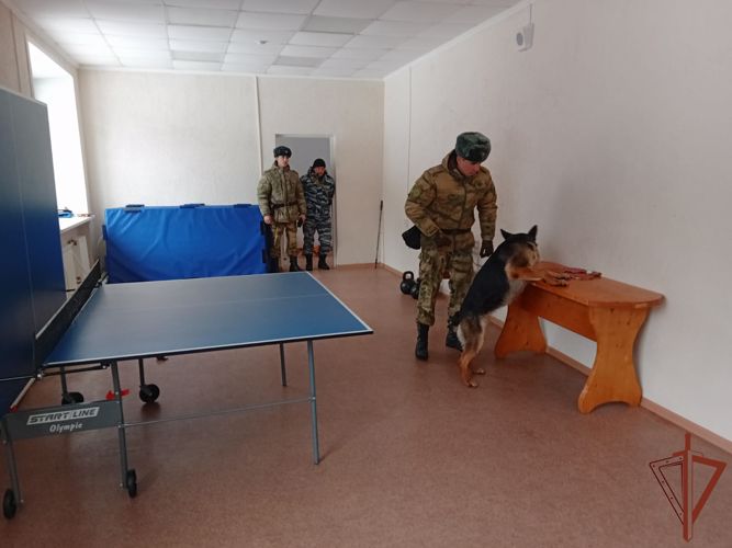 В Пермском военном институте состоялись учебно-методические сборы со специалистами-кинологами учебного комплекса факультета (кинологического) с закрепленными минно-розыскными собаками