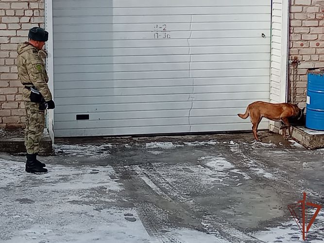 В Пермском военном институте состоялись учебно-методические сборы со специалистами-кинологами учебного комплекса факультета (кинологического) с закрепленными минно-розыскными собаками