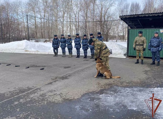 В Пермском военном институте состоялись учебно-методические сборы со специалистами-кинологами учебного комплекса факультета (кинологического) с закрепленными патрульно-розыскными собаками