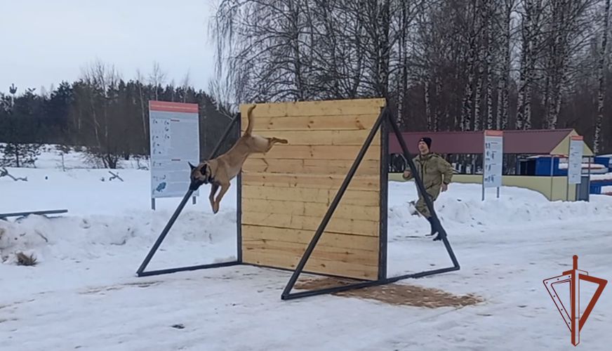 Курсанты Пермского военного института принимают участие в подготовке к  Всеармейскому конкурсу «Верный друг –2023»