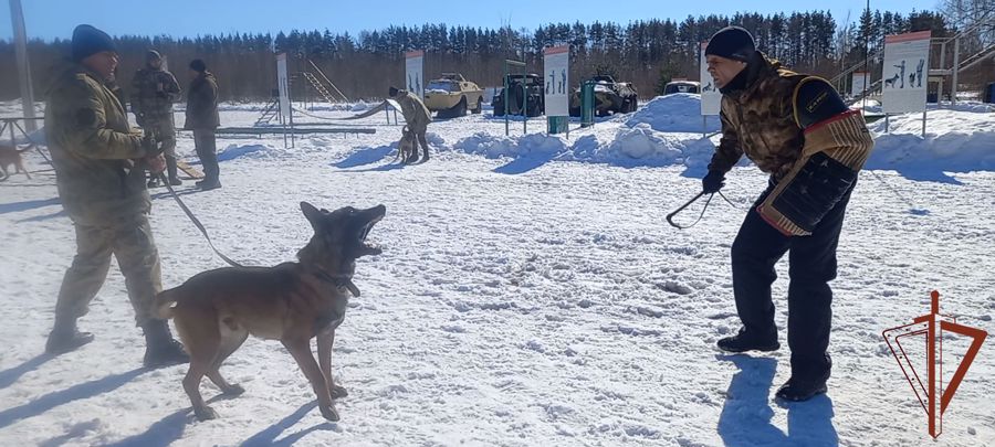 Курсанты Пермского военного института принимают участие в подготовке к  Всеармейскому конкурсу «Верный друг –2023»
