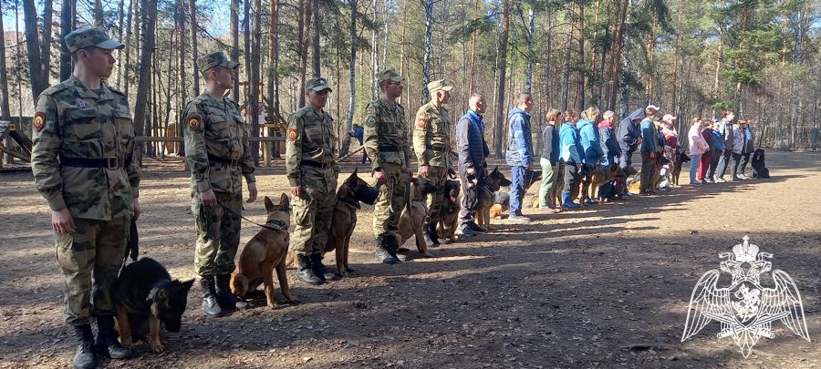 Военнослужащие факультета (кинологического) приняли участие в Чемпионате Пермского края по Национальному курсу дрессировки собак