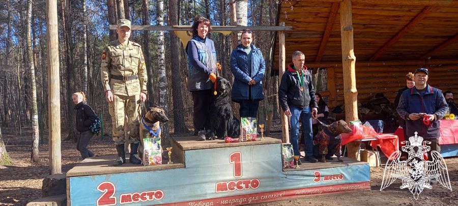 Военнослужащие факультета (кинологического) приняли участие в Чемпионате Пермского края по Национальному курсу дрессировки собак