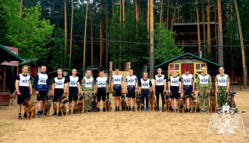 Курсанты факультета (кинологического) приняли участие в авторской городской гонке по каникроссу «Тайные тропы 2023»