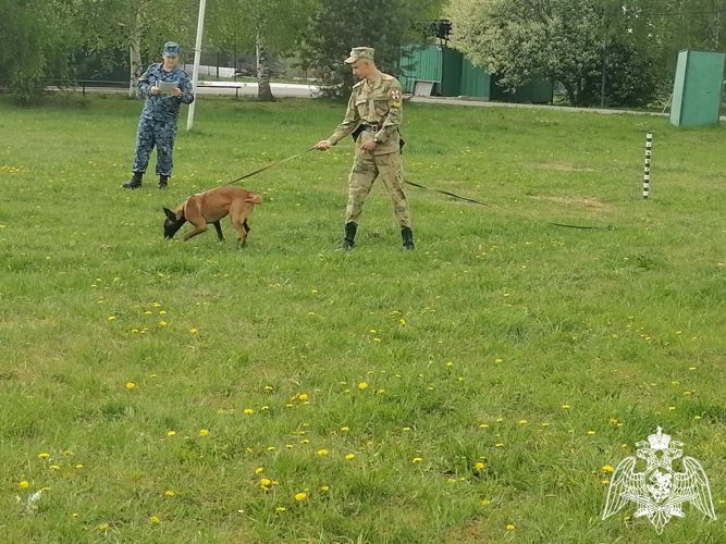 Курсанты кинологического факультета приняли участие в межвузовской олимпиаде по дрессировке служебных собак «Лучший в дрессировке»