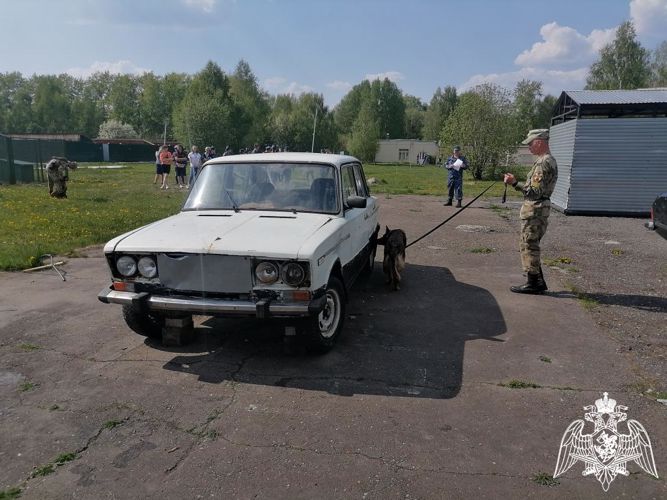Курсанты кинологического факультета приняли участие в межвузовской олимпиаде по дрессировке служебных собак «Лучший в дрессировке»
