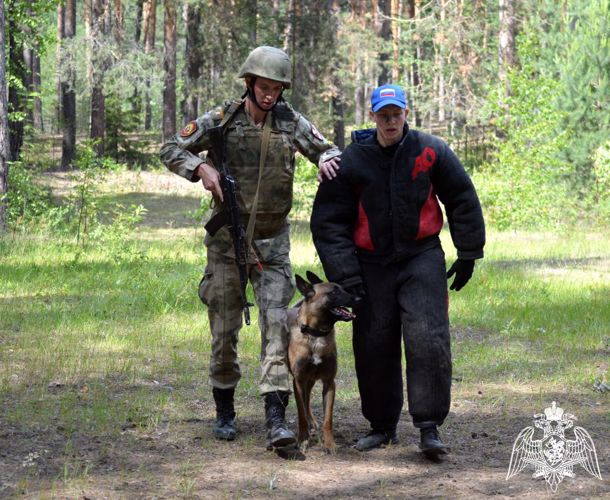 На факультете (кинологическом) состоялась первая межвузовская олимпиада кинологов «Дрессировка служебных собак»