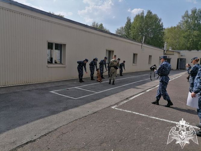 Курсанты кинологического факультета приняли участие в межвузовской олимпиаде по дрессировке служебных собак «Лучший в дрессировке»