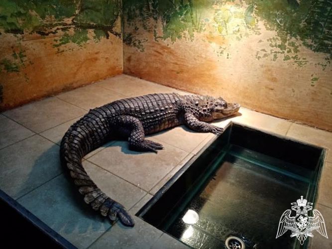 C курсантами факультета (кинологического) проведено практическое занятие по изучению многообразия позвоночных мировой фауны