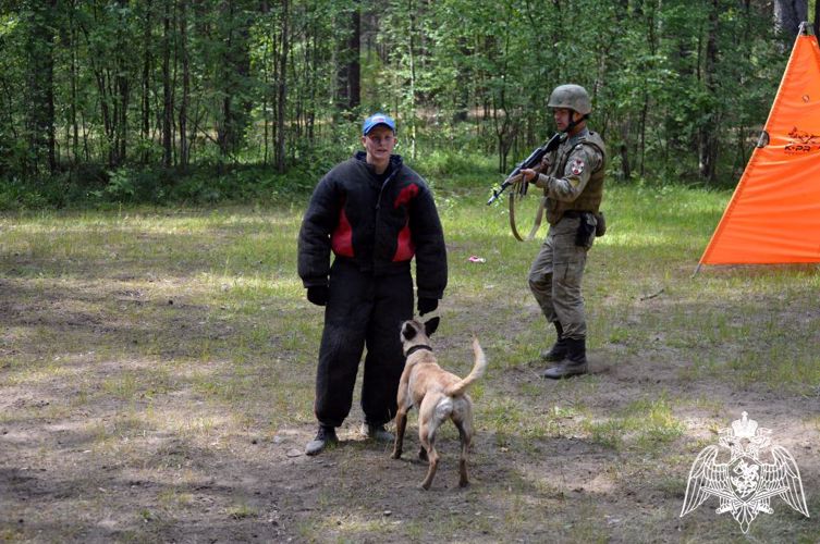 На факультете (кинологическом) состоялась первая межвузовская олимпиада кинологов «Дрессировка служебных собак»