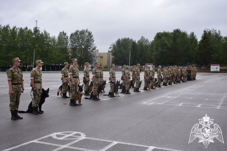 На кинологическом факультете Пермского военного института прошли соревнования по служебно-прикладному виду спорта «Многоборье кинологов»