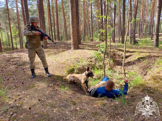 На кинологическом факультете Пермского военного института прошел экзамен по дисциплине «Дрессировка служебных собак»