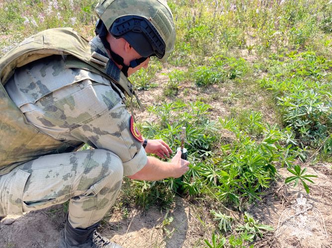 С курсантами Пермского военного института проведен экзамен