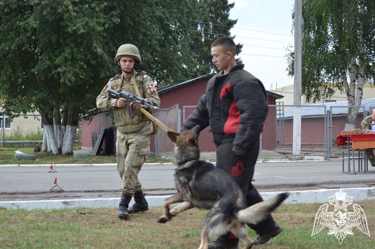 На кинологическом факультете Пермского военного института прошли соревнования по служебно-прикладному виду спорта «Многоборье кинологов»