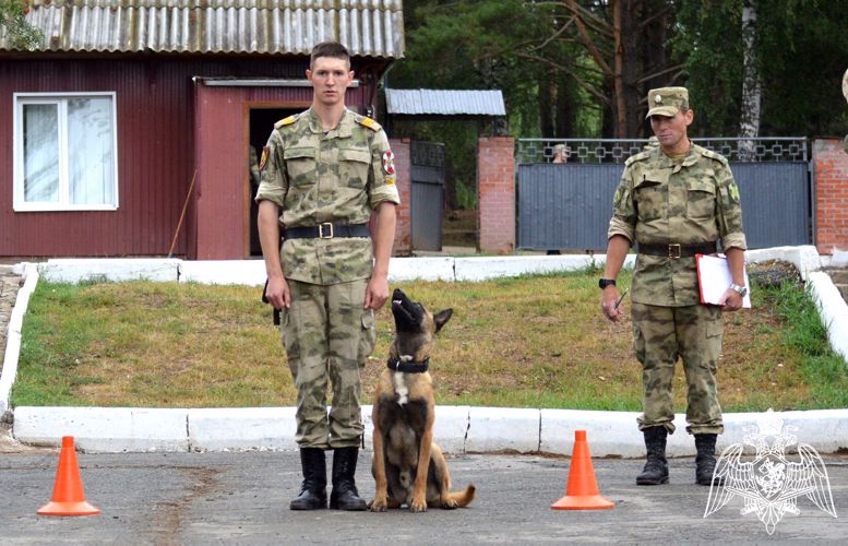 На кинологическом факультете Пермского военного института прошел экзамен по дисциплине «Дрессировка служебных собак»