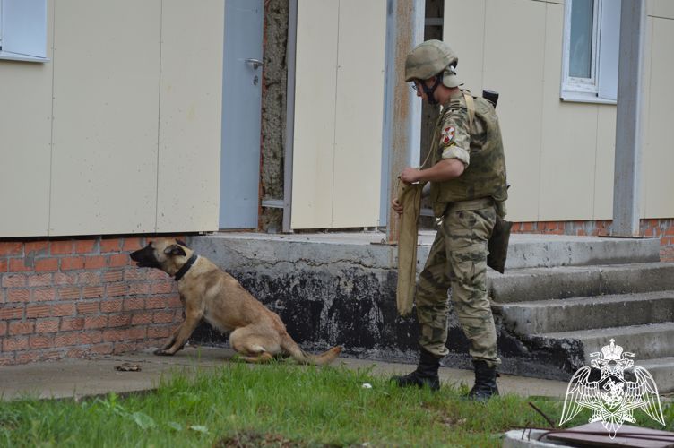 На кинологическом факультете Пермского военного института прошли соревнования по служебно-прикладному виду спорта «Многоборье кинологов»