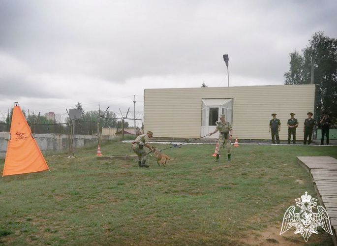 В Пермском военном институте на факультете (кинологическом) проверили и протестировали щенков с целью перевода их в ремонтную категорию