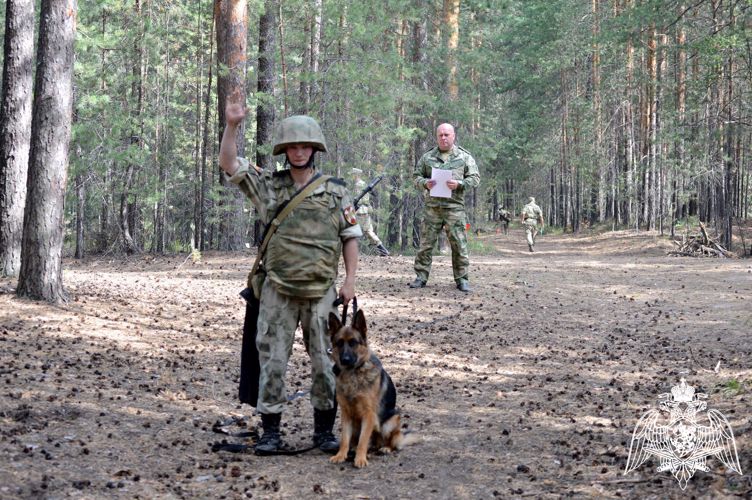 На кинологическом факультете Пермского военного института прошел экзамен по дисциплине «Дрессировка служебных собак»