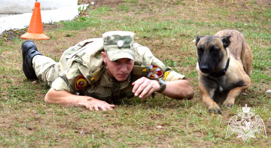 На кинологическом факультете Пермского военного института прошел экзамен по дисциплине «Дрессировка служебных собак»