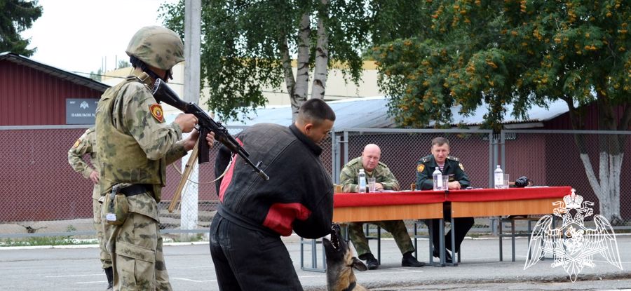 На кинологическом факультете Пермского военного института прошел экзамен по дисциплине «Дрессировка служебных собак»