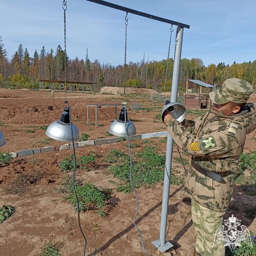 Курсанты Пермского военного института совершенствовали навыки в ходе занятия по обеспечению электроэнергией войск в отрыве от пунктов постоянной дислокации в полевых условиях
