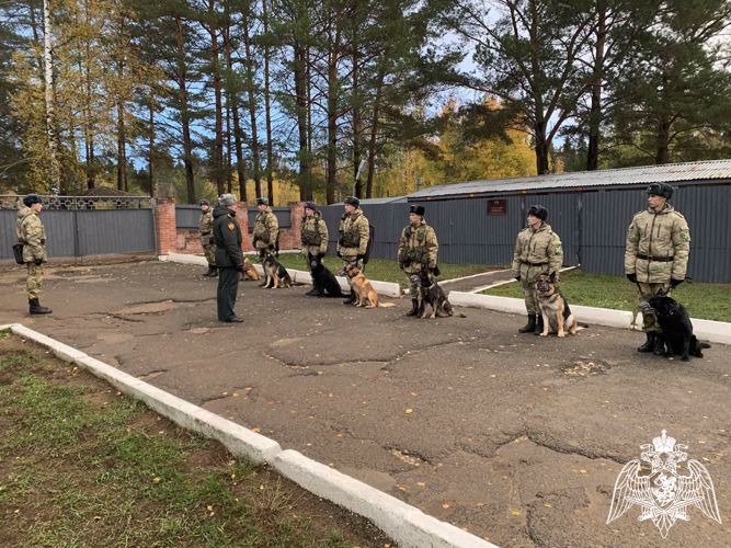 В Пермском военном институте состоялись учебно-методические сборы со специалистами-кинологами учебного комплекса факультета (кинологического) с закрепленными минно-розыскными собаками