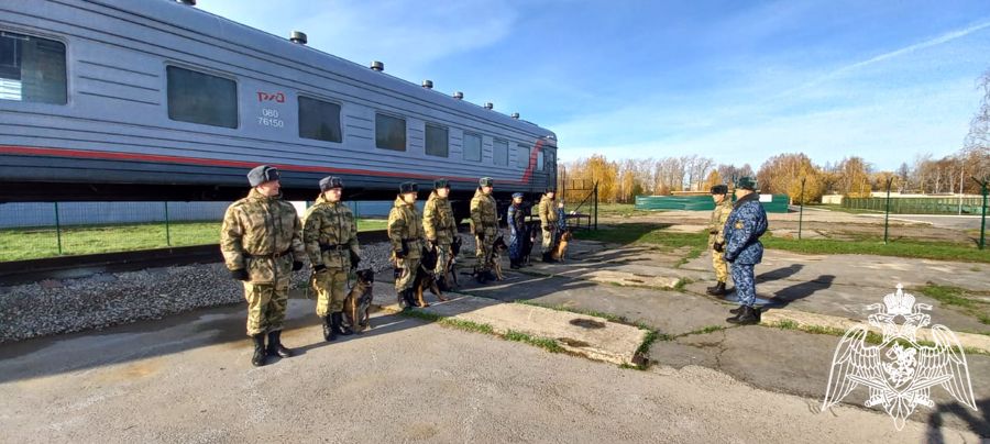 В Пермском военном институте состоялись учебно-методические сборы со специалистами-кинологами учебного комплекса факультета (кинологического) с закрепленными минно-розыскными собаками