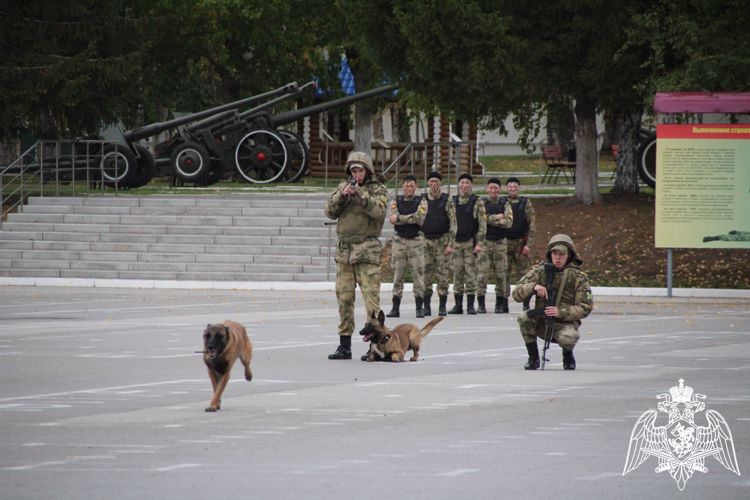 В Пермском военном институте прошел II Фестиваль подразделений регионального отделения детско-юношеского военно-патриотического движения «Гвардейская смена» Пермского края