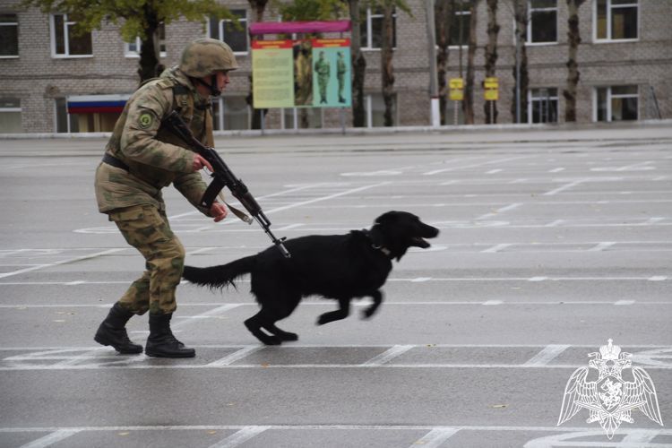 В Пермском военном институте прошел этап XVI Всероссийского фестиваля «Виват, кадет!», посвященный 300-летию города Перми и Году педагога и наставника в России