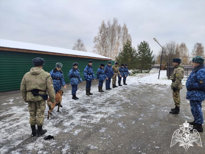 В Пермском военном институте состоялись учебно-методические сборы со специалистами-кинологами учебного комплекса факультета (кинологического) с закрепленными патрульно-розыскными собаками