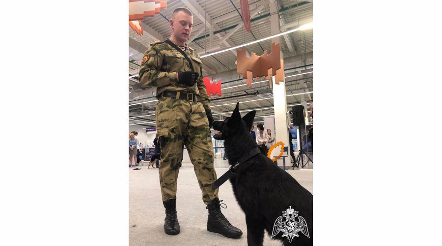 В конгрессно-выставочном  центре «Пермь Экспо» завершилась выставка-форум «Образование и карьера»