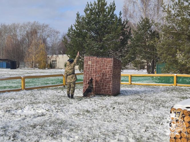 В Пермском военном институте состоялись учебно-методические сборы со специалистами-кинологами учебного комплекса факультета (кинологического) с закрепленными патрульно-розыскными собаками