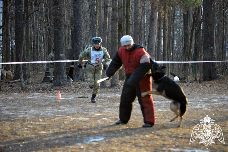 Курсанты кинологического факультета приняли участие во всероссийских кинологических соревнованиях
