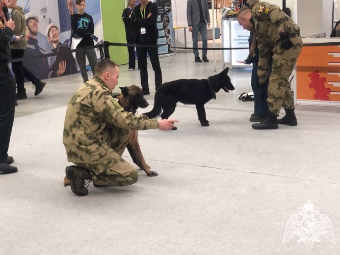 В конгрессно-выставочном  центре «Пермь Экспо» завершилась выставка-форум «Образование и карьера»