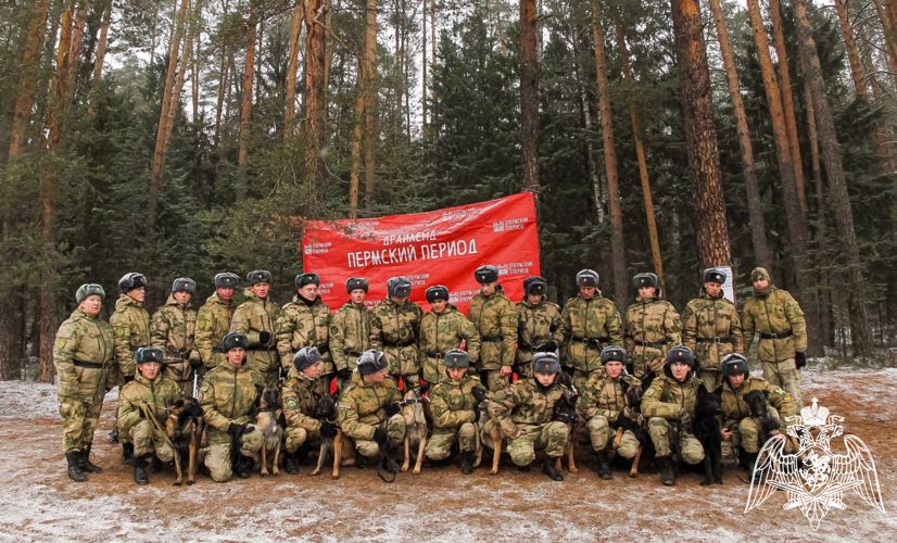 Курсанты факультета (кинологического) приняли участие в городской гонке по ездовым видам спорта «Пермский период — 2023»
