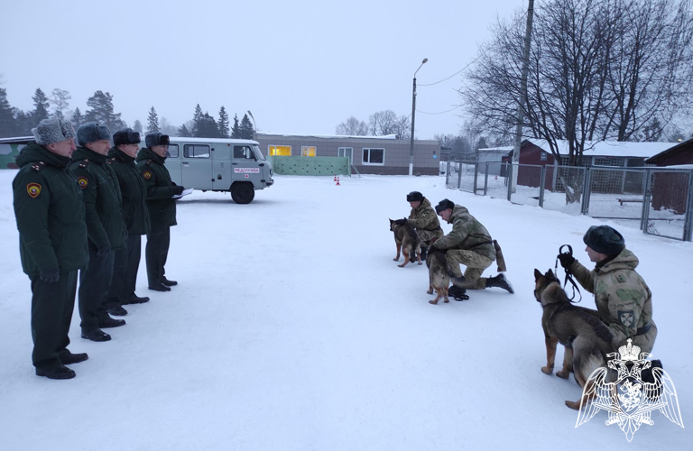 В Пермском военном институте на факультете (кинологическом) проверили и протестировали щенков с целью перевода их в ремонтное поголовье
