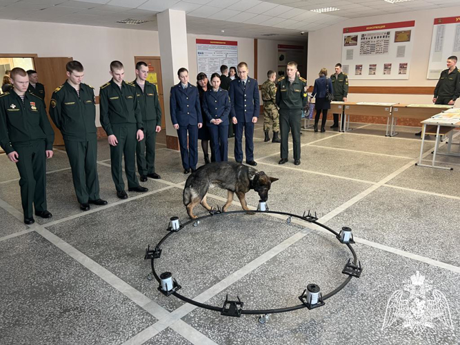 На кафедре кинологии факультета (кинологического) проведена межведомственная научно-практическая конференция «Подготовка специалистов-кинологов в войсках национальной гвардии Российской Федерации»