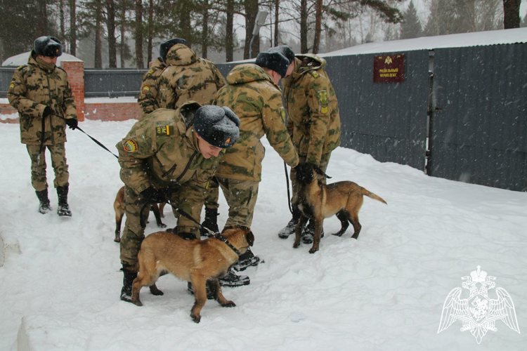 Пермский военный институт посетили кадеты Московского президентского кадетского училища имени М.А. Шолохова войск национальной гвардии Российской Федерации