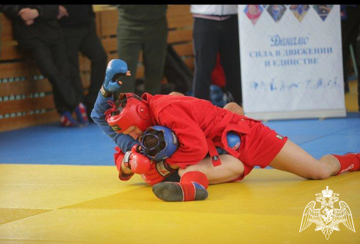 Военнослужащие Пермского военного института приняли участие в чемпионате ПКО ОГО ВФСО «Динамо» по боевому самбо