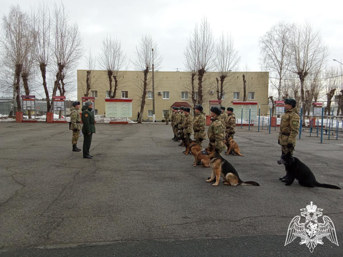 В Пермском военном институте состоялись учебно-методические сборы со специалистами-кинологами учебного комплекса факультета (кинологического) с закрепленными минно-розыскными собаками