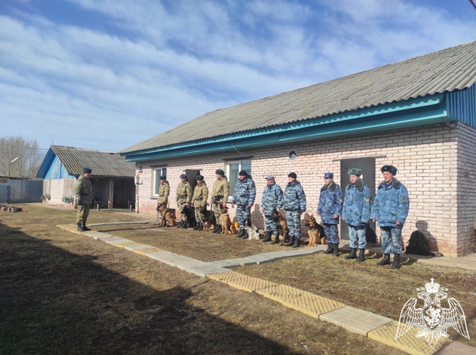 В Пермском военном институте состоялись учебно-методические сборы со специалистами-кинологами учебного комплекса факультета (кинологического) с закрепленными минно-розыскными собаками