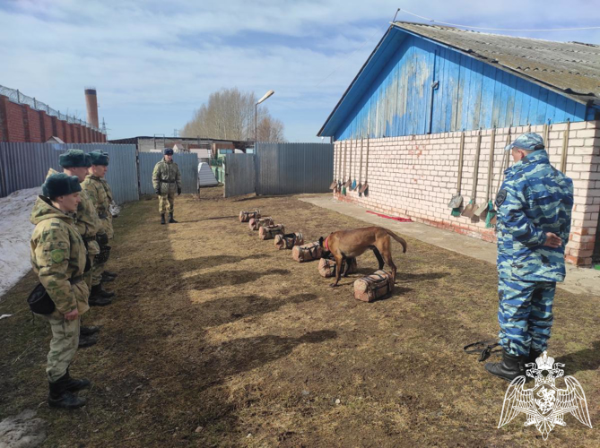 В Пермском военном институте состоялись учебно-методические сборы со специалистами-кинологами учебного комплекса факультета (кинологического) с закрепленными минно-розыскными собаками