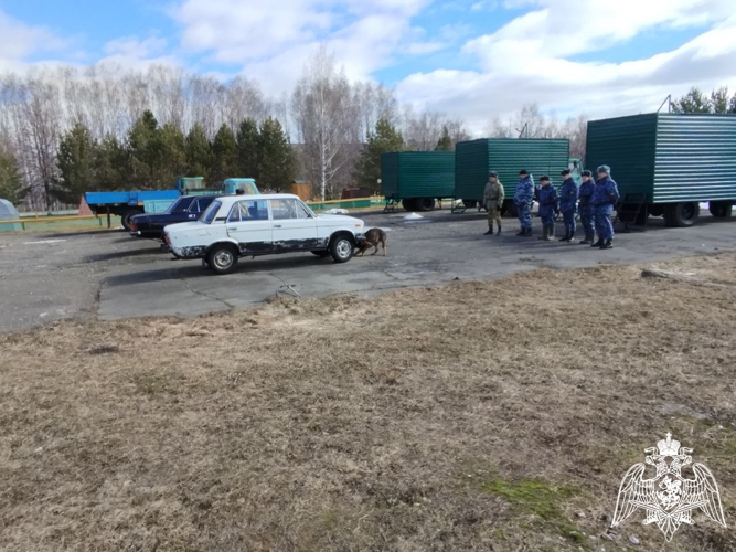 В Пермском военном институте состоялись учебно-методические сборы со специалистами-кинологами учебного комплекса факультета (кинологического) с закрепленными минно-розыскными собаками